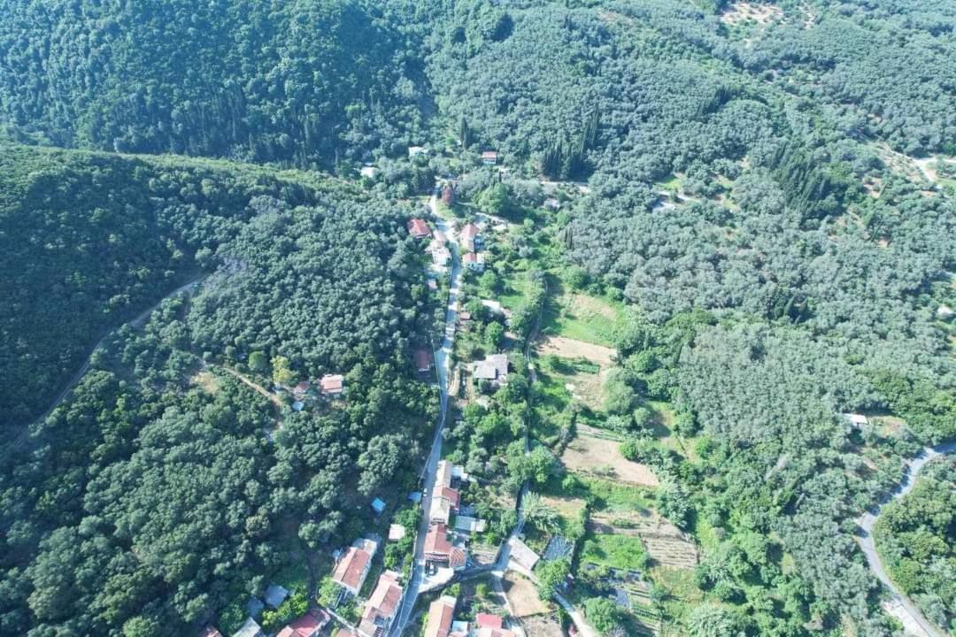 Klimatia Harry'S Retreatゲストハウス エクステリア 写真