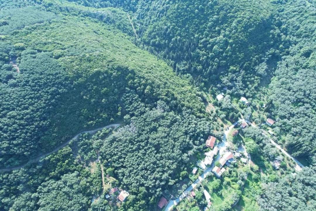 Klimatia Harry'S Retreatゲストハウス エクステリア 写真