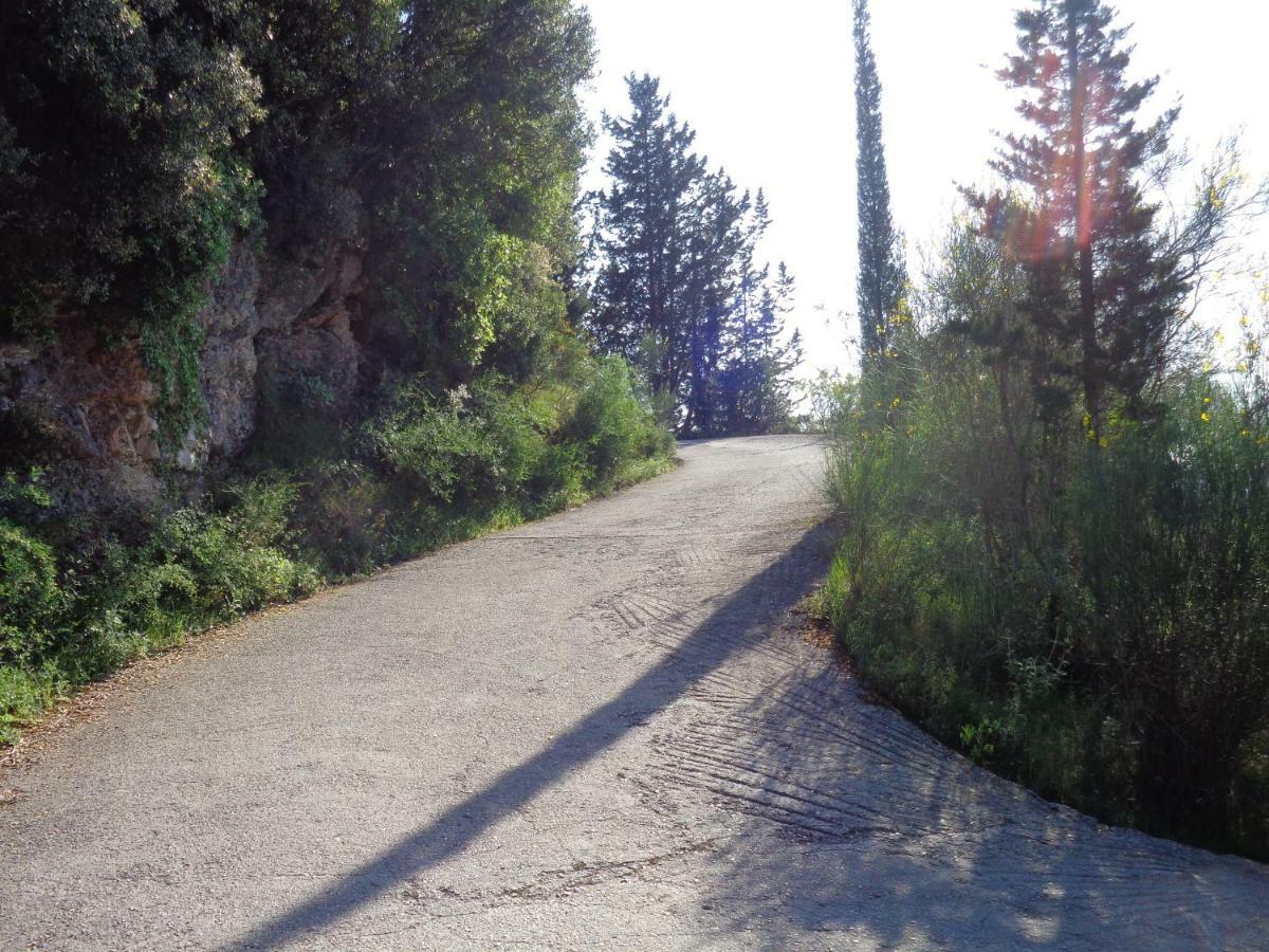 Klimatia Harry'S Retreatゲストハウス エクステリア 写真