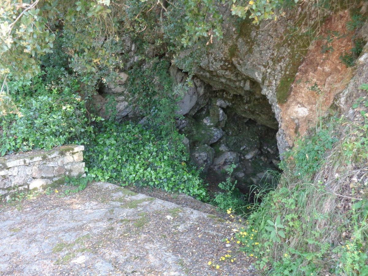 Klimatia Harry'S Retreatゲストハウス エクステリア 写真